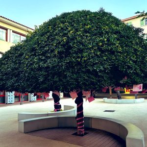 arbre de l'ampathie